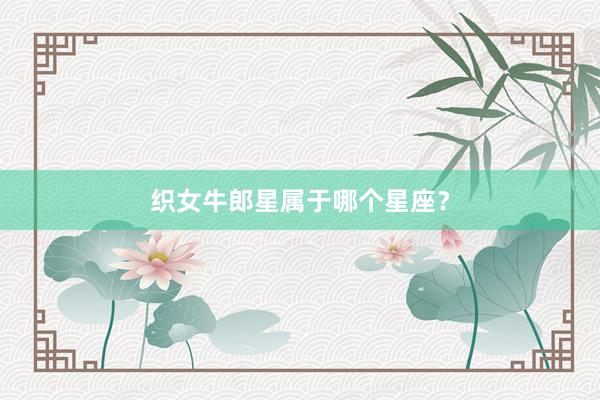织女牛郎星属于哪个星座？