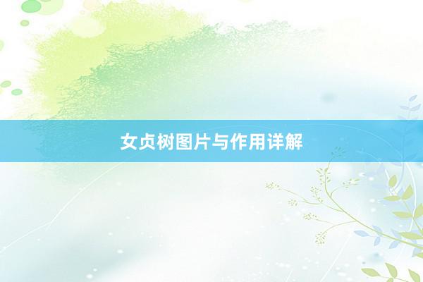 女贞树图片与作用详解